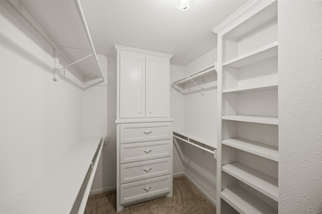 18326 Leinad Dr, Houston, TX 77090 - photo 21