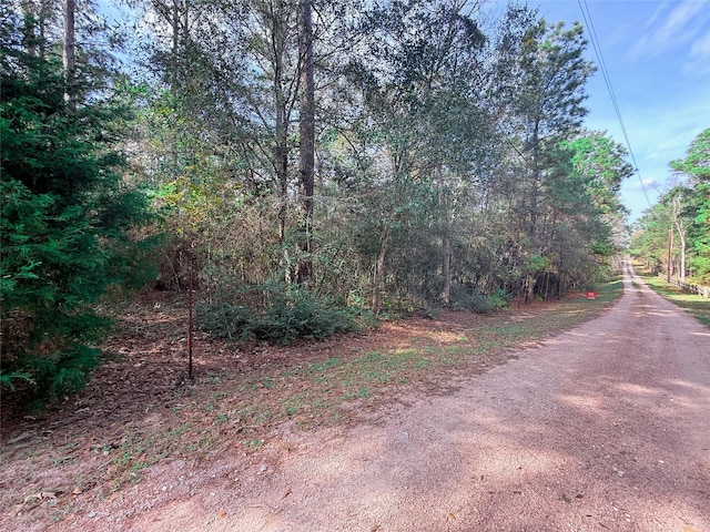 0 Serendipity Trl, Plantersville, TX 77363 - photo 1