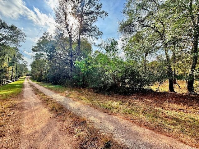 0 Serendipity Trl, Plantersville, TX 77363 - photo 2