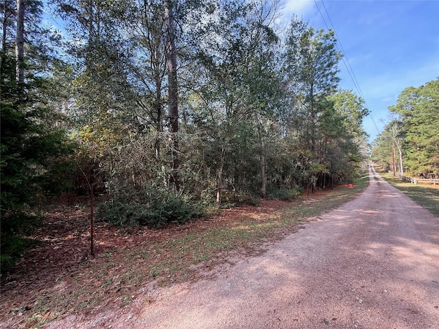 0 Serendipity Trl, Plantersville, TX 77363 - photo 5