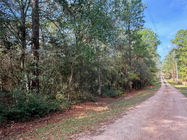0 Serendipity Trl, Plantersville, TX 77363 - photo 10