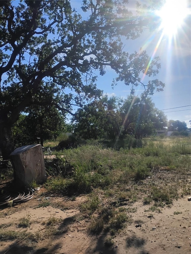 7510 US Highway 67 Unit 84, Bangs, TX 76823 - view of yard