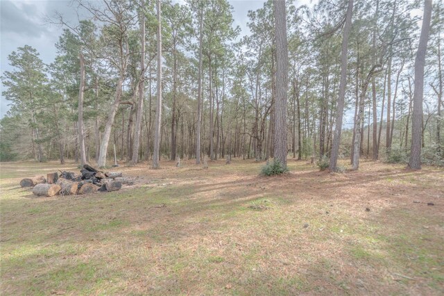 27785 Log Cabin Rd, Montgomery, TX 77356 - photo 43