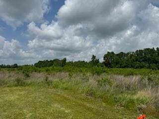 1510 Fm-160, Liberty, TX 77575 - photo 2