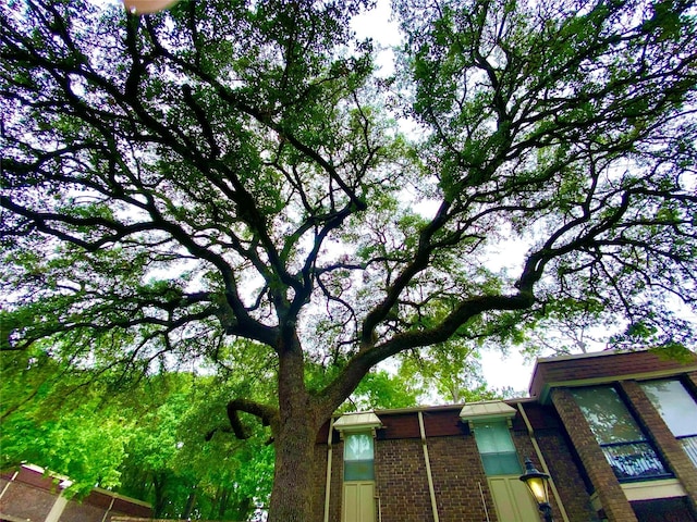 7575 Katy Fwy Unit 11, Houston, TX 77024 - photo 23
