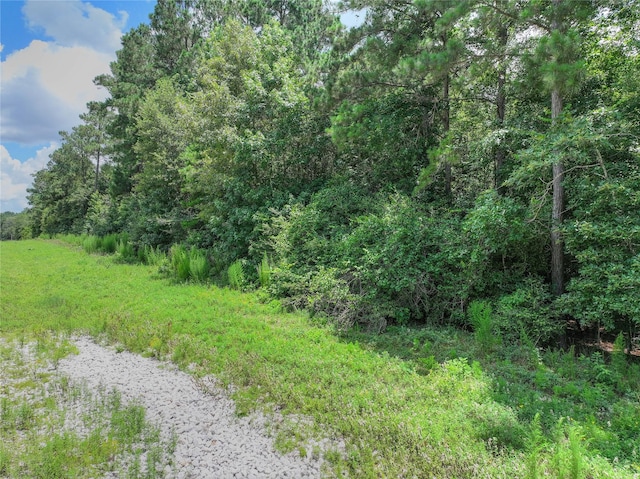 TBD Handler Rd, Huntsville, TX 77340