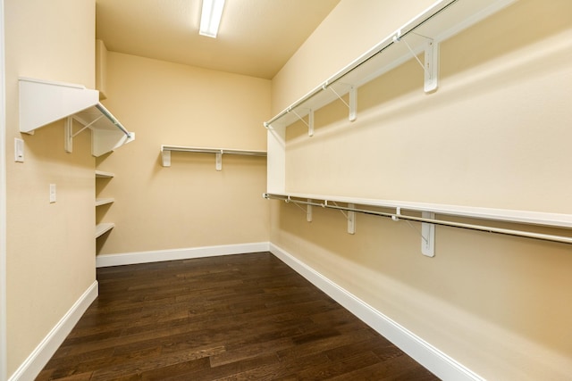10306 Terra St, Iowa Colony, TX 77583 - walk in closet featuring dark wood-type flooring