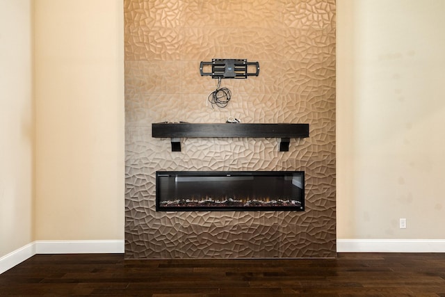 10306 Terra St, Iowa Colony, TX 77583 - detailed view of a glass covered fireplace and wood finished floors