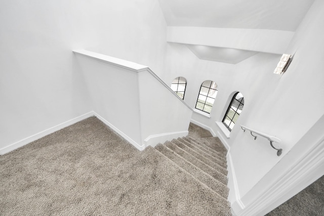 16015 Conners Ace Dr, Spring, TX 77379 - staircase with carpet