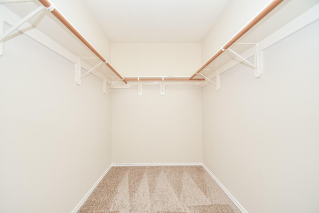 19826 Seagler Glen Ln, Katy, TX 77449 - walk in closet featuring carpet