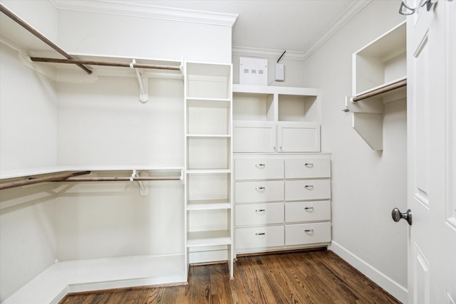 1017 Waverly St Unit B, Houston, TX 77008 - spacious closet featuring dark wood-style flooring