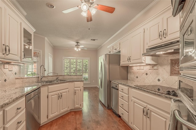 426 County Road 222, Nacogdoches, TX 75965 - kitchen with appliances with stainless steel finishes, ceiling fan, plenty of natural light, light wood finished floors, and ornamental molding