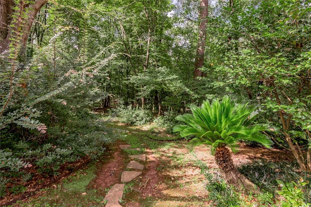 426 County Road 222, Nacogdoches, TX 75965 - view of nature