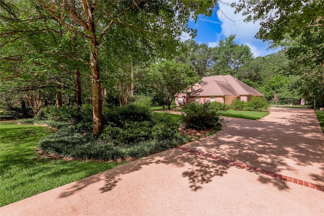426 County Road 222, Nacogdoches, TX 75965 - view of patio / terrace featuring concrete driveway