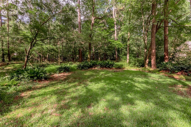 426 County Road 222, Nacogdoches, TX 75965 - view of grassy yard featuring a view of trees