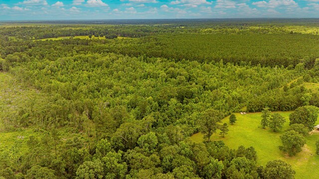TBD County Road 2178, Cleveland, TX 77327 - photo 7
