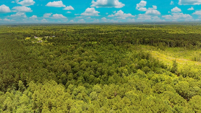 TBD County Road 2178, Cleveland, TX 77327 - photo 8