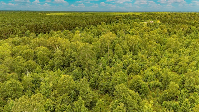 TBD County Road 2178, Cleveland, TX 77327 - photo 10