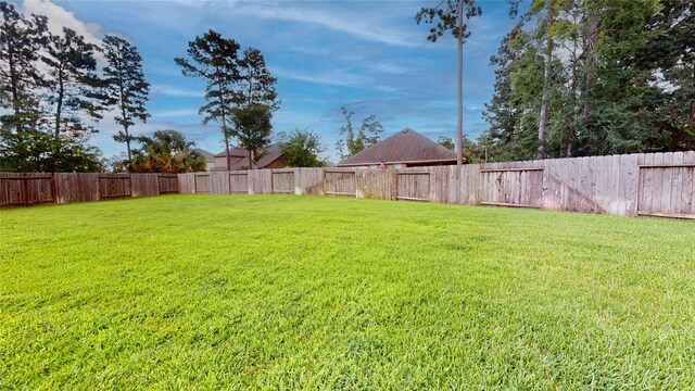 14115 Ash Mountain Ln, Conroe, TX 77384 - photo 50