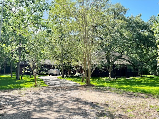 3533 N Elm Rd, Santa Fe, TX 77517 - photo 9