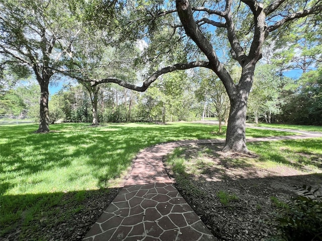 3533 N Elm Rd, Santa Fe, TX 77517 - photo 13