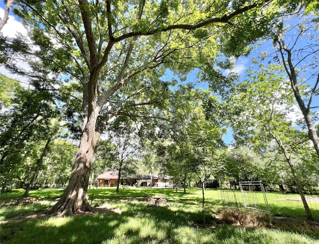 3533 N Elm Rd, Santa Fe, TX 77517 - photo 44
