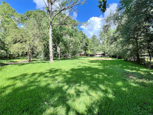 3533 N Elm Rd, Santa Fe, TX 77517 - photo 39