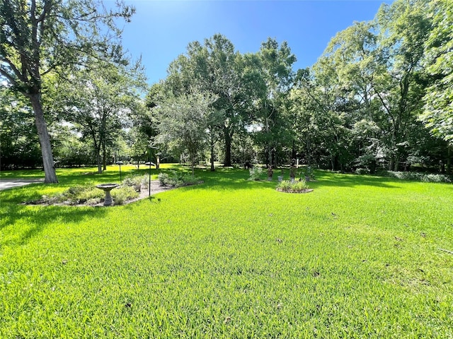 3533 N Elm Rd, Santa Fe, TX 77517 - photo 43