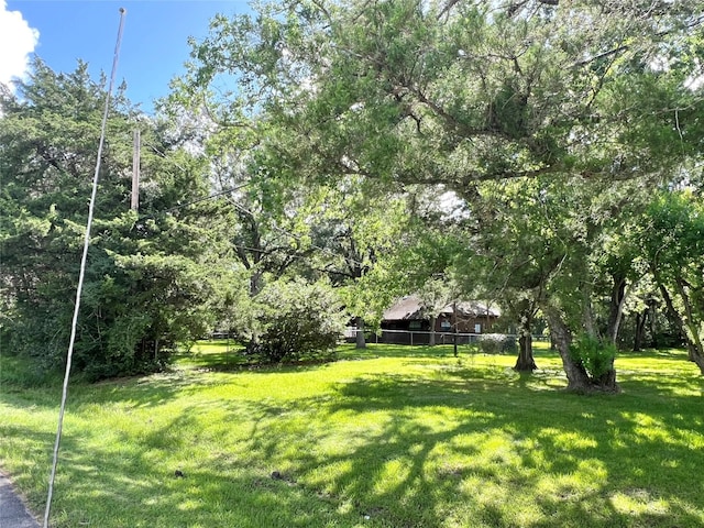 3533 N Elm Rd, Santa Fe, TX 77517 - photo 47
