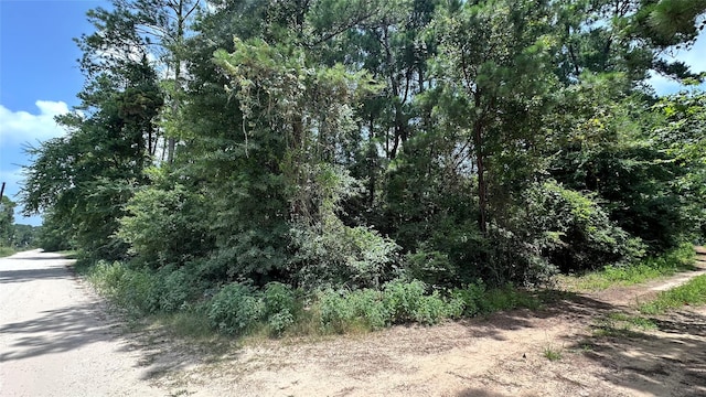 LOT4 Live Oak Dr, Plantersville, TX 77363 - photo 2