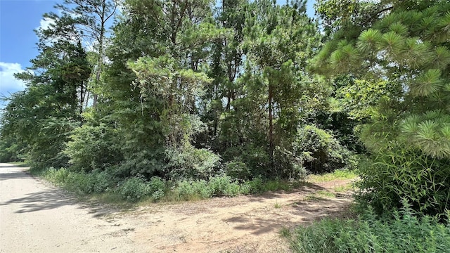 LOT4 Live Oak Dr, Plantersville, TX 77363 - photo 3