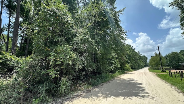 LOT4 Live Oak Dr, Plantersville, TX 77363 - photo 4