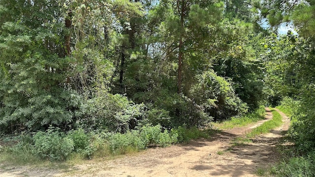 LOT4 Live Oak Dr, Plantersville, TX 77363 - photo 5