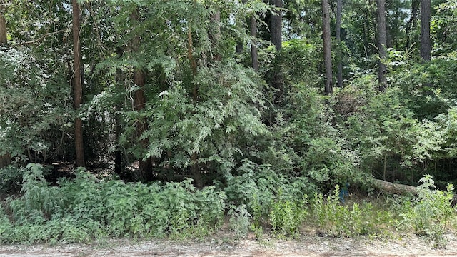 LOT4 Live Oak Dr, Plantersville, TX 77363 - photo 6