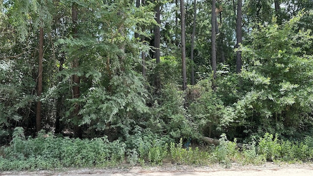 LOT4 Live Oak Dr, Plantersville, TX 77363 - photo 7