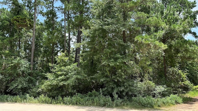LOT4 Live Oak Dr, Plantersville, TX 77363 - photo 8
