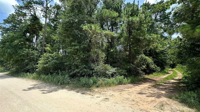 LOT4 Live Oak Dr, Plantersville, TX 77363 - photo 11