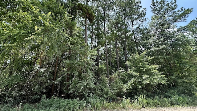 LOT4 Live Oak Dr, Plantersville, TX 77363 - photo 13