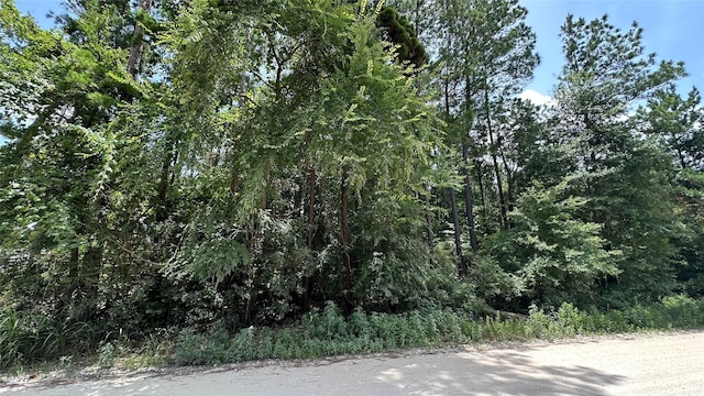 LOT4 Live Oak Dr, Plantersville, TX 77363 - photo 15