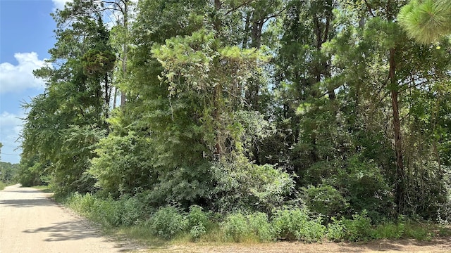 LOT4 Live Oak Dr, Plantersville, TX 77363 - photo 16