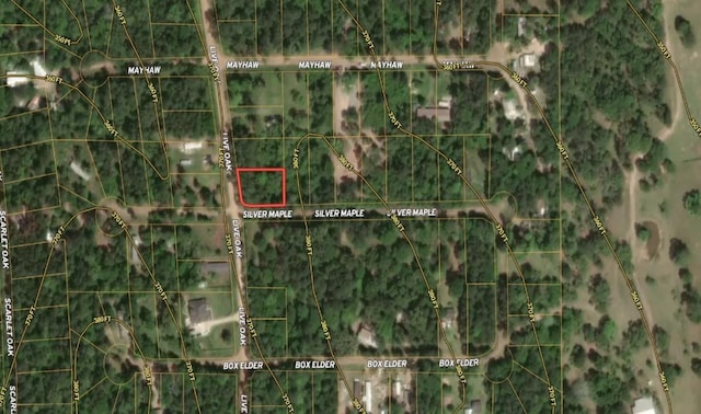 LOT4 Live Oak Dr, Plantersville, TX 77363 - photo 17