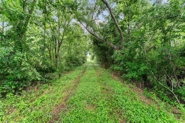 00 Crk 135, Hungerford, TX 77448 - photo 17