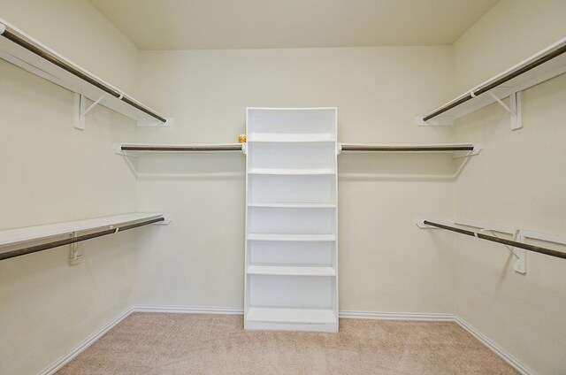 10807 High Red Mesa, Missouri City, TX 77459 - photo 41