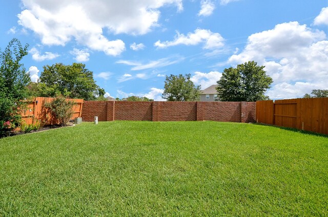10807 High Red Mesa, Missouri City, TX 77459 - photo 48