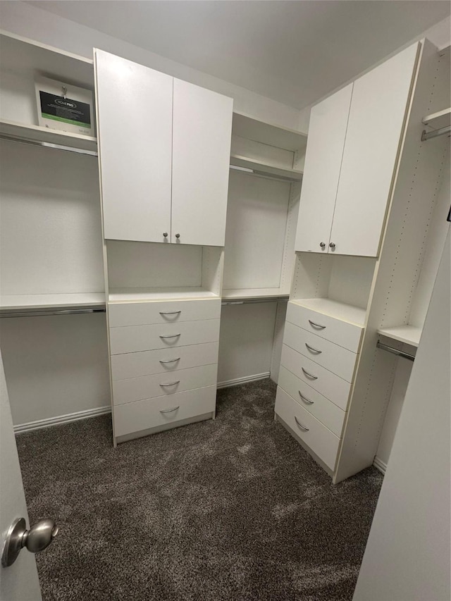 22303 Mosshall Ct, Tomball, TX 77375 - walk in closet featuring dark colored carpet