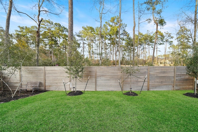 706 Carina Gaze Ct, Willis, TX 77318 - photo 26