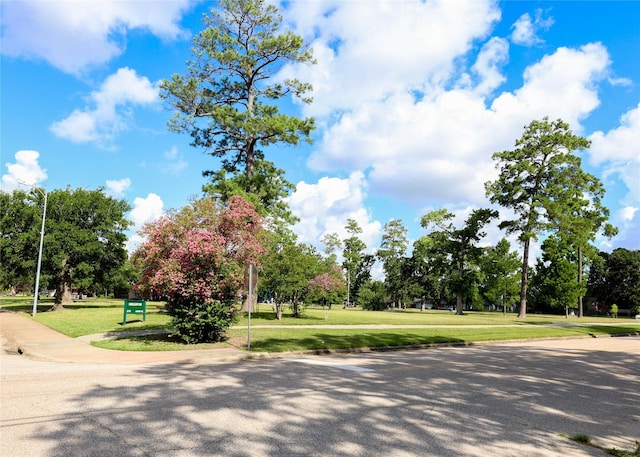 4902 Oak Forest Dr, Houston, TX 77018 - view of community with a yard and view of wooded area