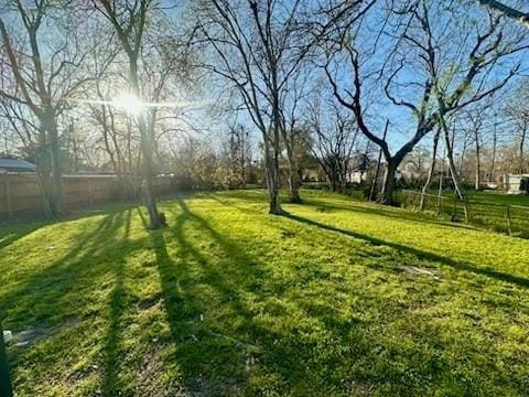 1108 Niagara St, Houston, TX 77051 - view of yard