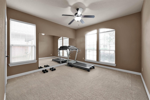 16014 Cashel Park Ln, Houston, TX 77084 - photo 24