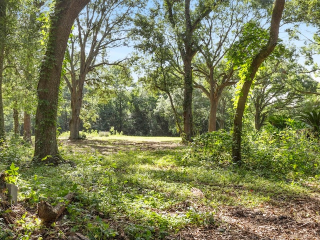 5714 Masters Rd, Manvel, TX 77578 - photo 21